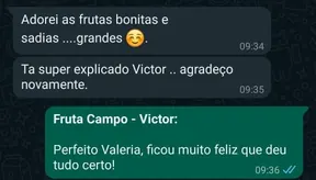 Depoimento de cliente no WhatsApp: “Adorei as frutas, bonitas e sadias… grandes”