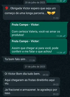 Depoimento de cliente no WhatsApp: “Chegaram as frutas direitinho, já fracionei e armazenei”