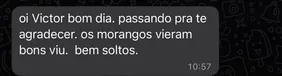 Depoimento de cliente no WhatsApp: “Os morangos vieram bons, bem soltos”