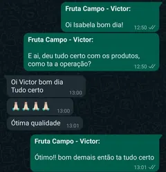 Depoimento de cliente no WhatsApp: “Tudo certo, ótima qualidade”